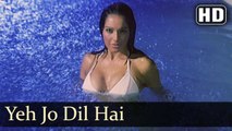 Ye Jo Dil Hai (Full HD Song) Barsaat (2005) | Bobby Deol | Bipasha Basu | Alka Yagnik, Abhijeet