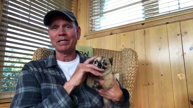 Caresser son chien, un effet relaxant