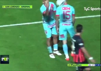 Un petit chien interrompt un match de foot