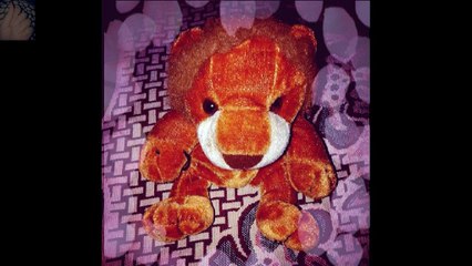 Photography of my lion portfolio By Mobile Camera