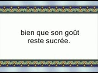 Bienfaits-du-coran