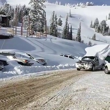 Ce gars remmène des glaçons pour sa soirée Mojito!!!!