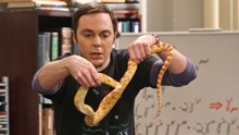 Young Sheldon Season 3 Episode 1 : Episode 1