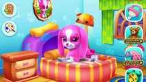 Animals Doctor Pet Care Kids Game. Fun Animal Video Games Cartoon for Children. Learn colors
