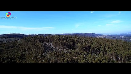 5# ABUÍN -QUERÍA PONERME DE PIE- //FEEL YOUNG// LP 2K16.7