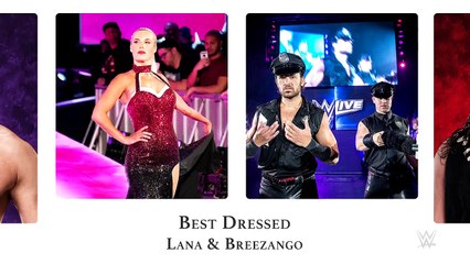 The 2017 WWE Yearbook