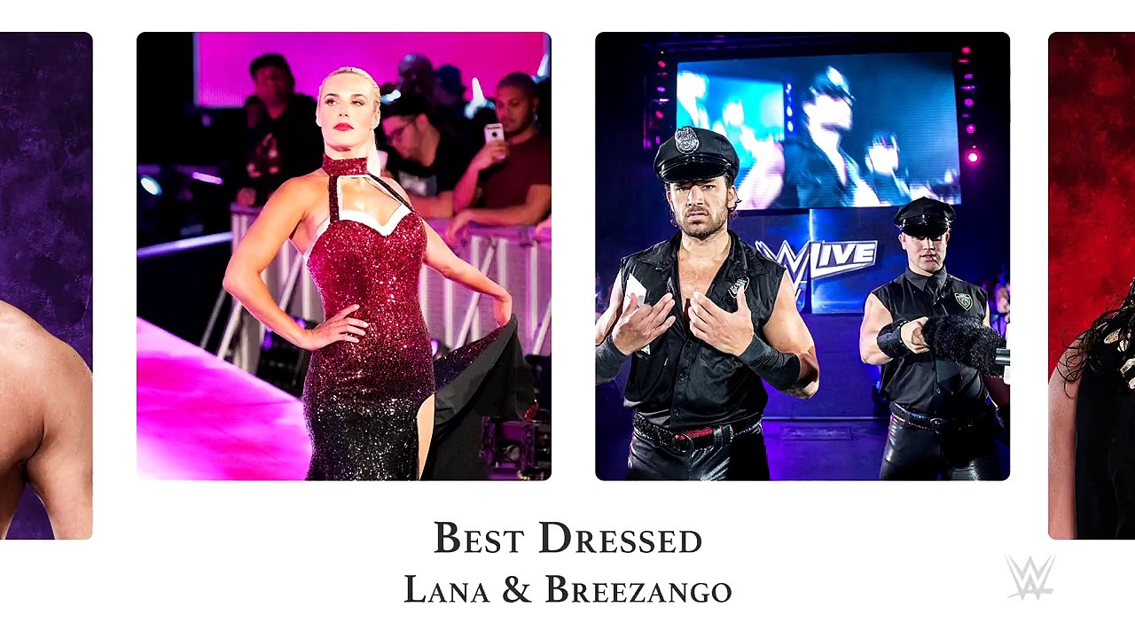 The 2017 WWE Yearbook