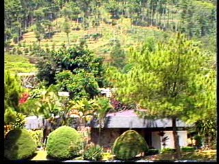 AIR MATA#DEWA19#INDONESIA#LEFT