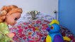 Frozen Anna Gets Pinocchio Nose! - Anna and Elsa Toddlers & Hatchimals!
