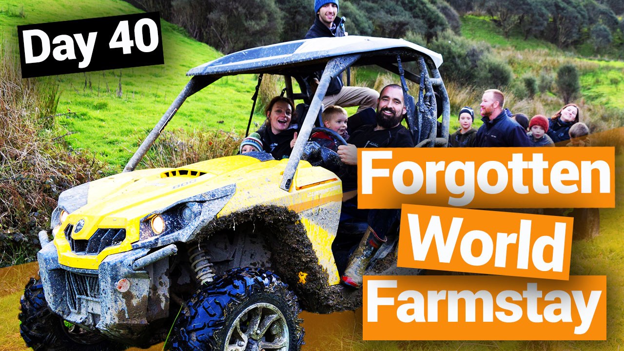 Forgotten World Highway Farmstay - New Zealand's Biggest Gap Year – Backpacker Guide New Zealand