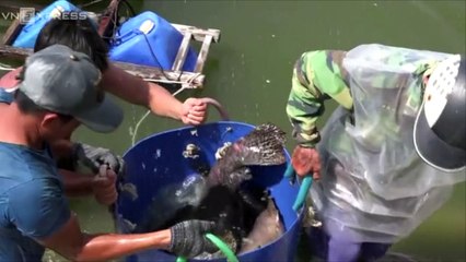 Wow! Become billionaire by feeding clownfish