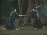 tenshin shoden katori shinto ryu