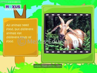 Kids Science - What and How do Animals Eat?