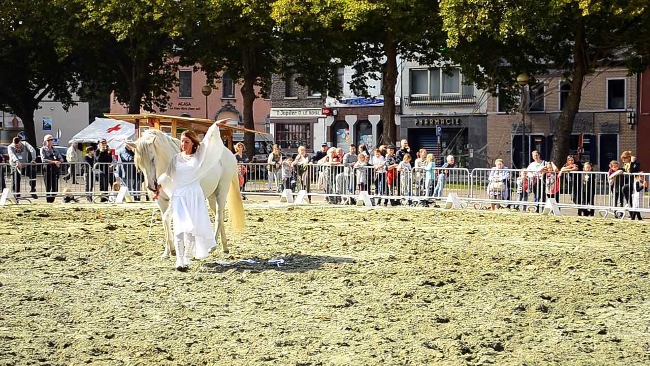 La fete du cheval #5