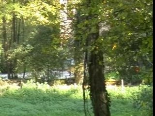 Rallye Montbeliard  2007  Anthony  es1