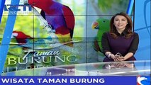 Wisata Edukasi Mengenal Satwa Burung di Palembang Sumatera Selatan