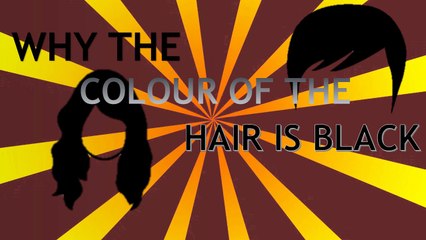 why does the color of hair is black? Scientific Reason | science | Reasoning
