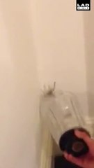 5 gars contre 1 araignée... Bande de flipettes!