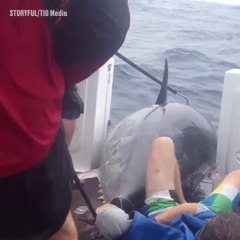 Ces pecheurs sortent un thon gigantesque... Mais quelle galère!