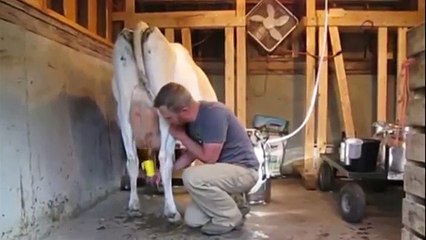 Primitive vs Intelligent Technology Modern Automatic Cow Milking Machine Women Smart Farmi