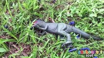 DINOSAURS vs Toddler NERF WAR | Mighty Megasaur dinosaur toys for kids with Nerf Rhino Fire