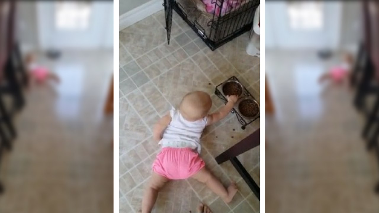 Ce bébé pensait manger des céréales dans un bol de chien!!