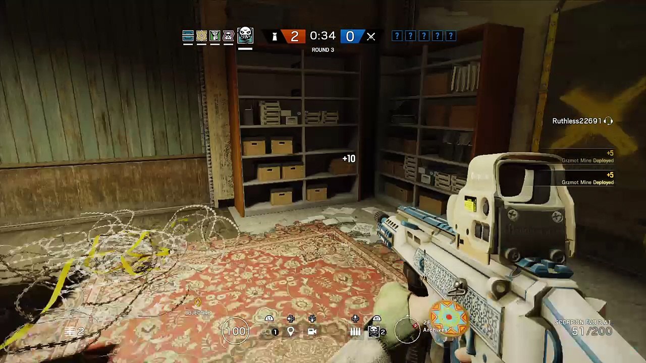 Ela Border Ace