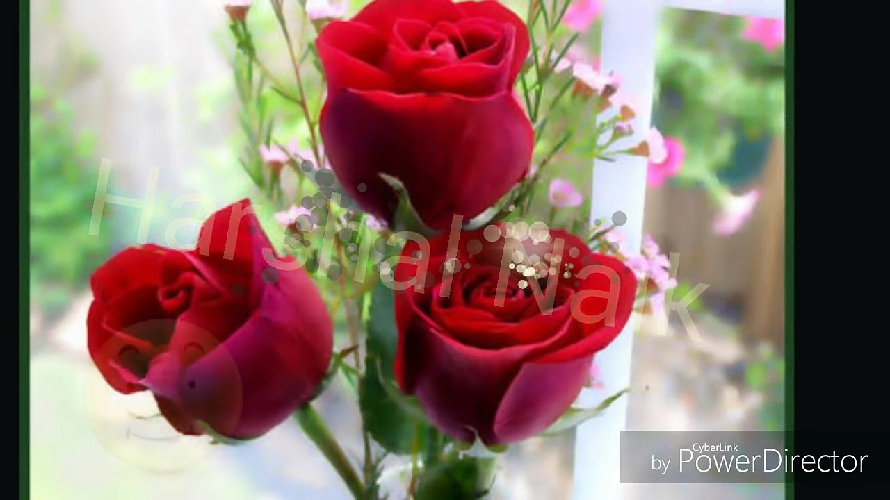 Ha Ho Gayi galti.... - Harshal ( cartoon story ) NOBITA & SHIZUKA