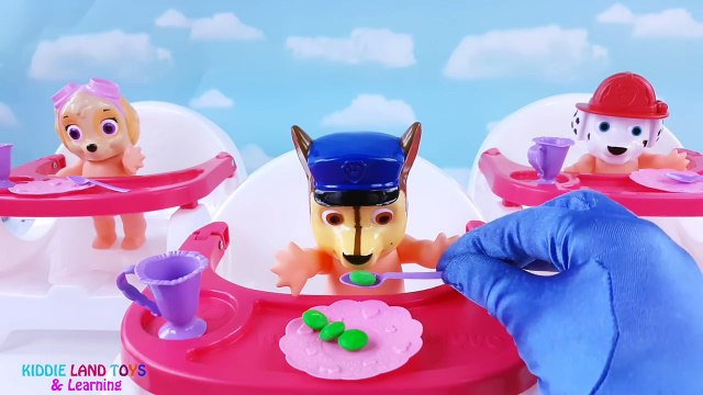 Paw Patrol Babies Skye Chase Marshall Potty Training Feeding Tea Party Pretend Play Fun Video