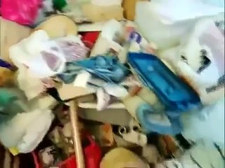 How Clean is Your House Grotty Granny