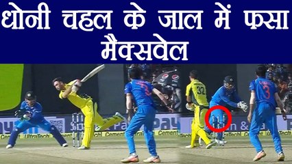 India Vs Australia 3rd ODI: Maxwell Stumped by MS Dhoni off Yuzvendra Chahal | वनइंडिया हिंदी