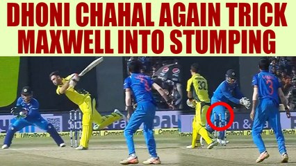 India vs Australia 3rd ODI : Glen Maxwell tricked again by Dhoni and Chahal into stumping