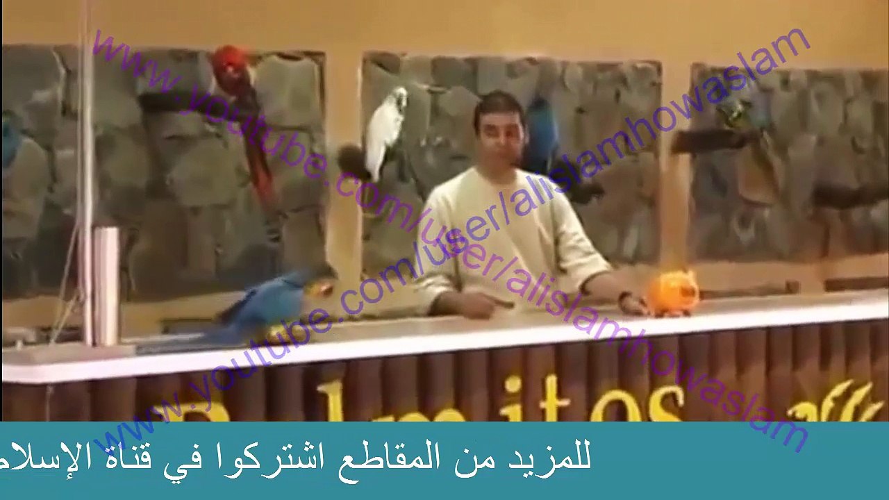 اذكى ببغاء في العالم 2014 - YouTube