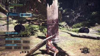 Monster Hunter World Zone d'entrainement