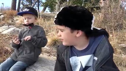 Dangerous Wild Forest Spider! The Poisonous Bug Toy Sneaks Home with the Boys!