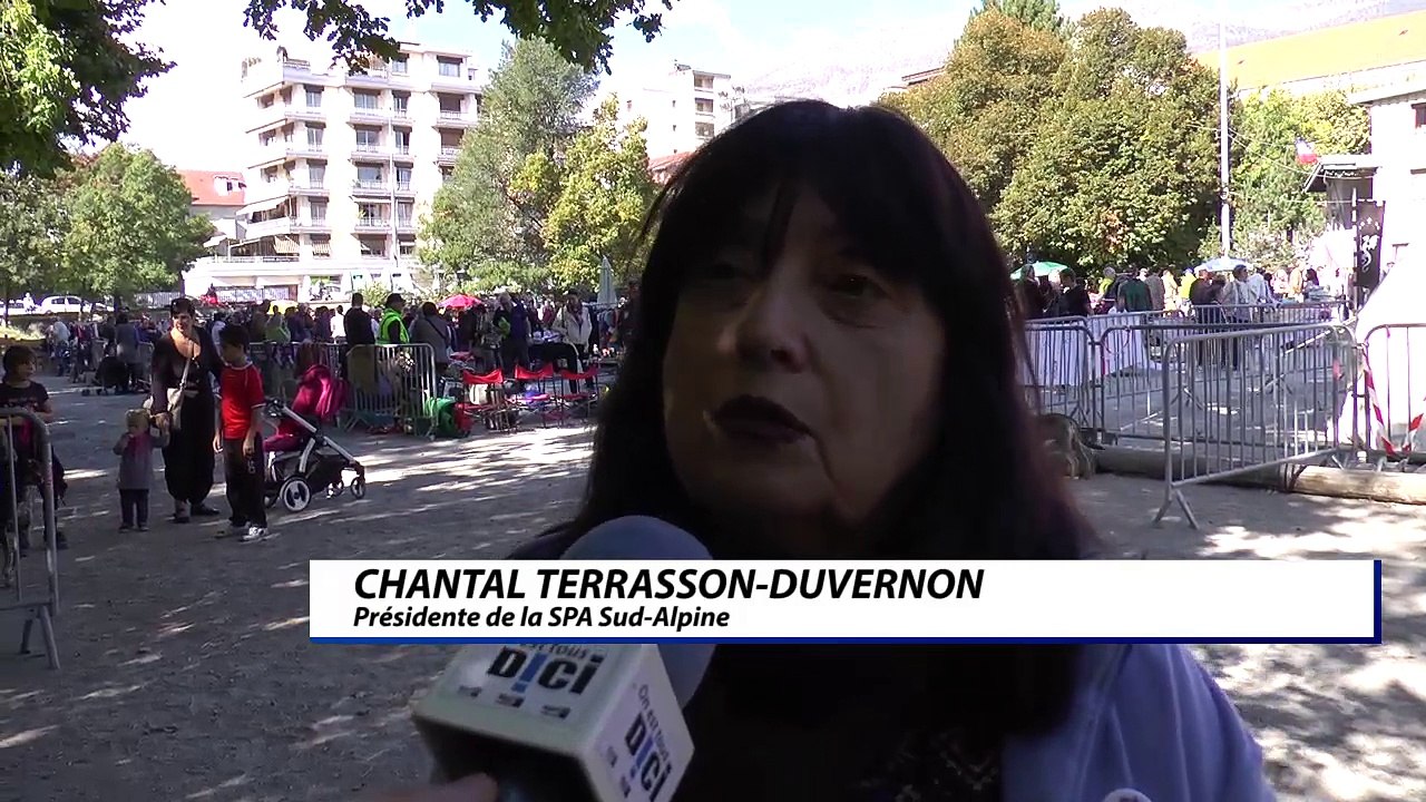 D!CI TV : la SPA Sud-Alpine a rencontré un nouveau succès lors de son vide-grenier à Gap