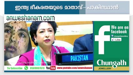 ഇന്ത്യ ഭീകരതയുടെ മാതാവ്-പാകിസ്ഥാന്‍