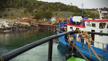 Lugares que Hablan 2017 -Puerto Toro -pt3