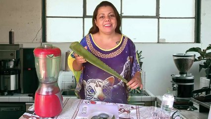 Babosa | Aloe Vera | Benefícios para a Saúde | Como Preparar em Casa