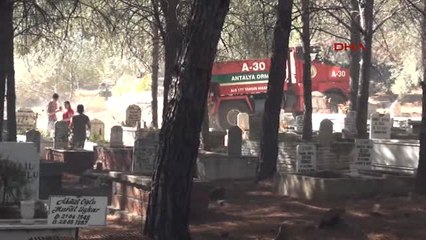 Antalya'da 2 Dönüm Ağaçlık Alan Yandı