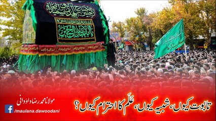 Taboot Kyun, Shabih Kyun, Alam ka Ehtraam Kyun | Maulana Raza Dawoodani