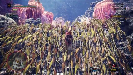 Monster Hunter World Paolumu