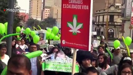 Peruanos marchan para pedir la legalización del uso medicinal de la marihuana