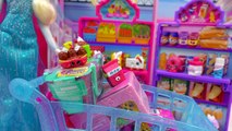 Unboxing 5 Shopkins Surprise Blind Bags of Season 2 , 3, & 4 with Disney Queen Elsa - Toy Video