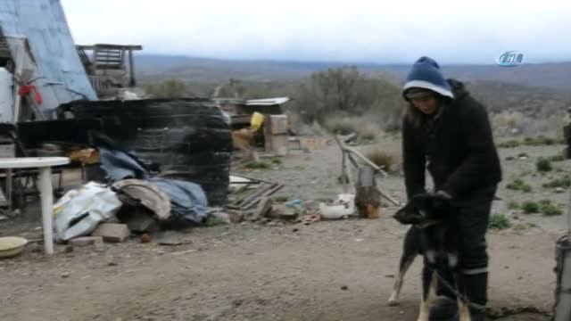 Arjantinli Çift Tam 62 Tane Hayvana Bakıyor- 37 Köpeğe ve 25 Kediye Çocukları Gibi Bakıyorlar