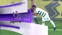 1-0 Dzon Delarge Goal Turkey  Süper Lig - 24.09.2017 Bursaspor 1-0 Galatasaray SK