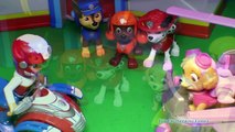 PAW PATROL Nickelodeon Paw Patrol Saves Thomas the Tank Engine Toys Video Parody