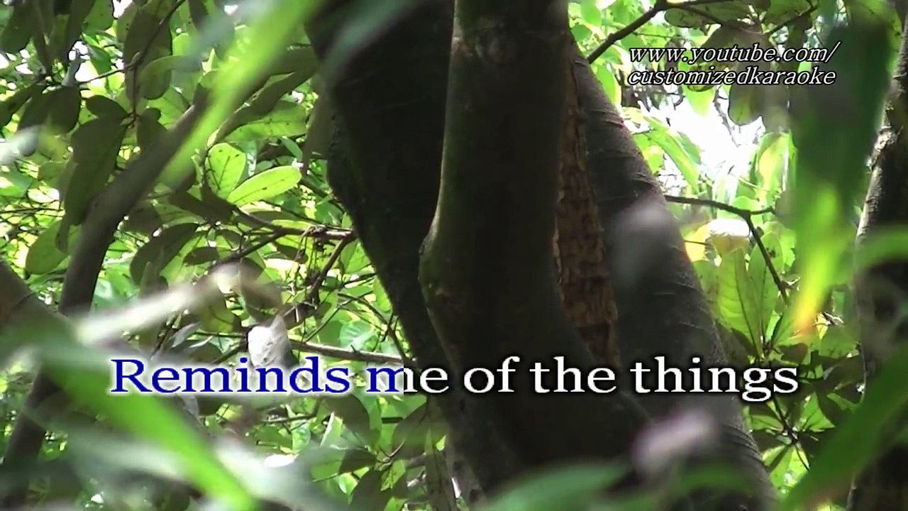 Your Love - Alamid KARAOKE HD