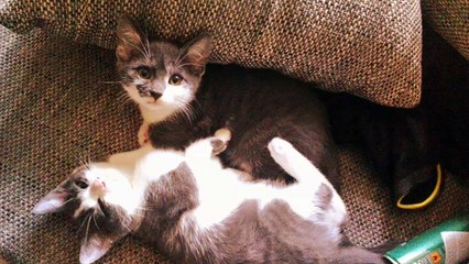 Lissi und Mika meine zwei Engel