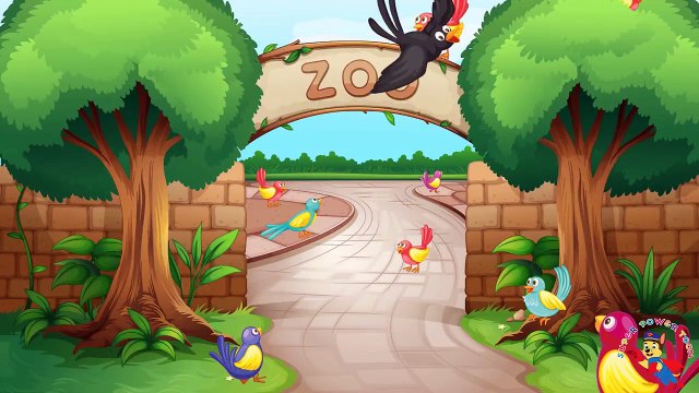 Paw Patrol The Avengers Hero Fighting With Monsters Godzilla! Finger Family Song Nursery Rhymes , cartoons animated Movies comedy action tv series 2018